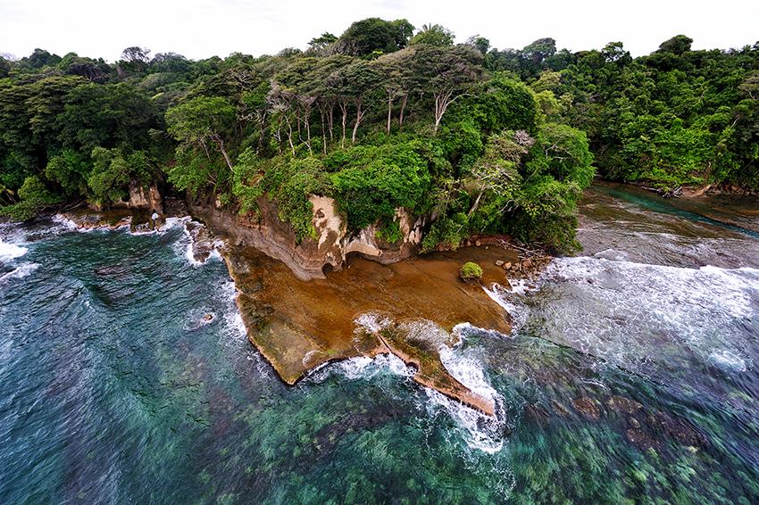 We have a big project in mind: to build a sustainable future